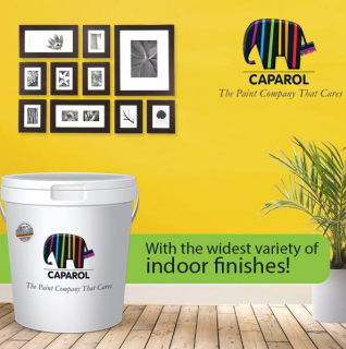 内圣外王 德爱威以环保功能涂料引领水性涂料新纪元